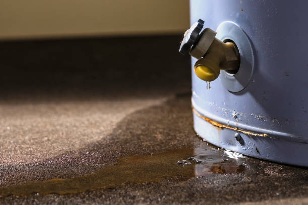 Best Local water damage restoration  in Ray City, GA