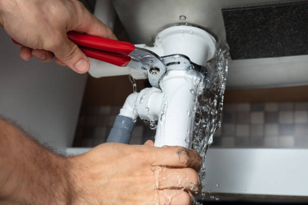 Best Fire Damage Restoration  in Ray City, GA