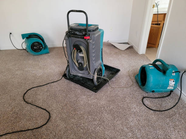  Ray City, GA Water damage restoration Pros