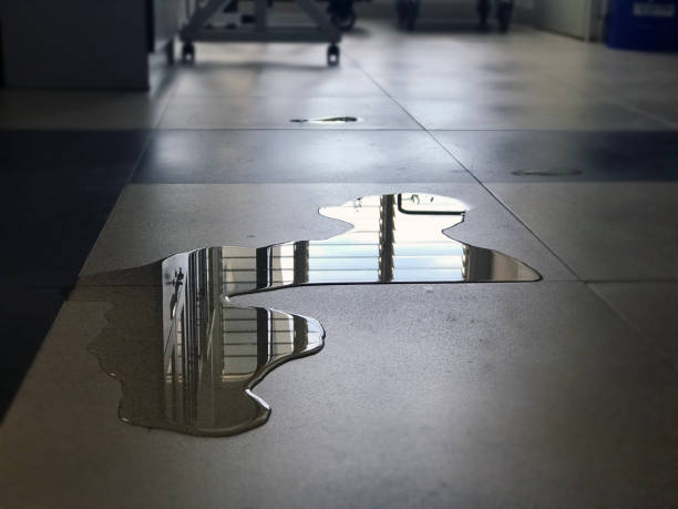 Best Water damage repair service  in Ray City, GA